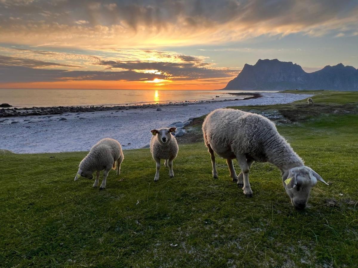 Real Fisherman'S Cabins In Ballstad, Lofoten 외부 사진